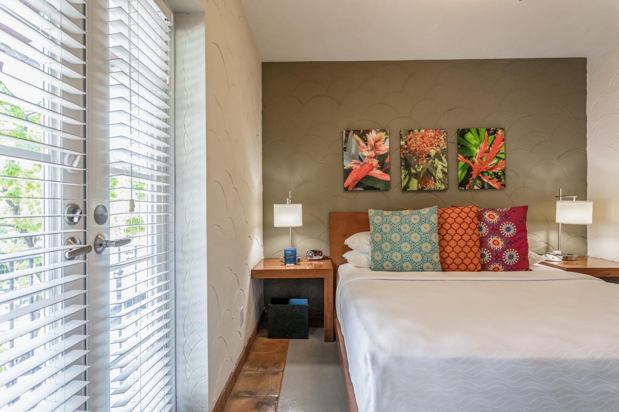 Kasa El Paseo Miami Beach Rom bilde