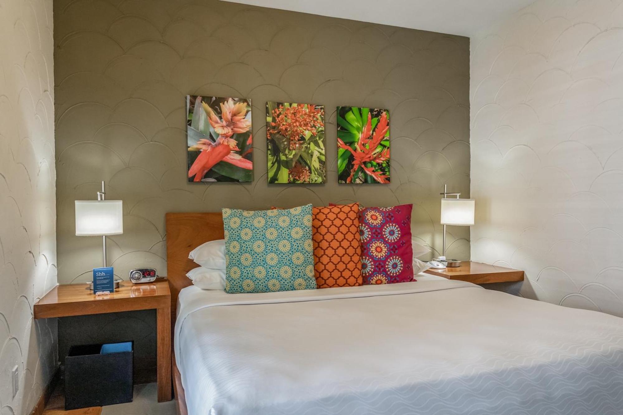 Kasa El Paseo Miami Beach Rom bilde